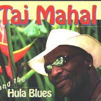 Coconut Man - Taj Mahal
