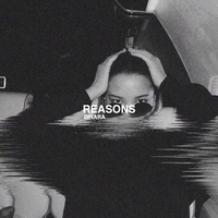 Reasons - Dinara