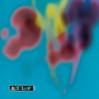 High Writer at Home - Lilys