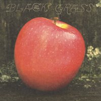 Come Fall - Little Wings