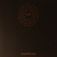 Amber Rain - Coil