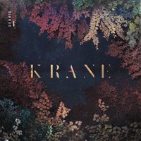Flushed - Krane