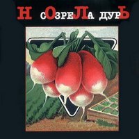 Барыня - Ноль