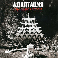 Прошлогодний Снег - Адаптация