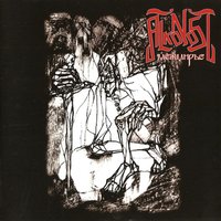 Безвременье - Alkonost