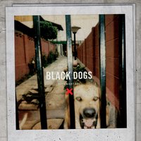Prayed All Wrong - Boys Night Out