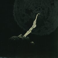 World-Lock - White Suns
