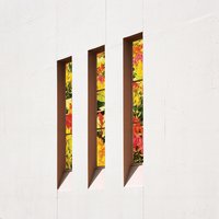Looking for Knives - Dyan