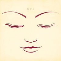 Bliss - Shane Alexander