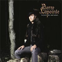Le lion imberbe - Pierre Lapointe