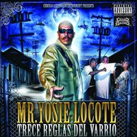 Ben Davis Mi Marca - Mr. Yosie Locote