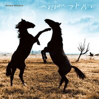 Neatlaidies - Ainars Mielavs
