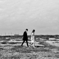 Stay - Alpines