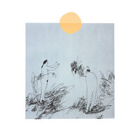 Fallin' Rain - Trace Mountains