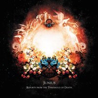 A Reflection on Fire - Junius