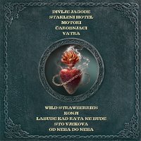 Dinamit - Divlje jagode