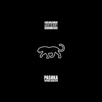 Чёрная пантера - Pashka