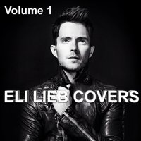 Skyfall - Eli Lieb