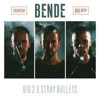 Stray Bullets