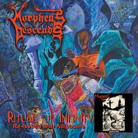 Immortal Coil - Morpheus Descends