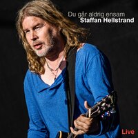 Din mästares röst - Staffan Hellstrand, The Nomads