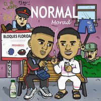 Normal - M.D. L.R