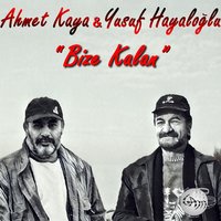 Yusuf Hayaloğlu