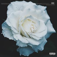 Surfin' - Scarlxrd