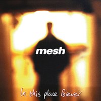 I Only Wanted To - Mesh