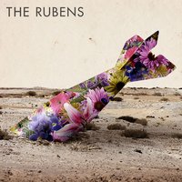 Paddy - The Rubens