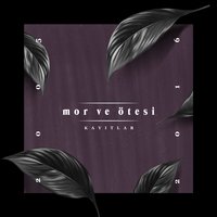 Bisiklet - Mor ve Ötesi