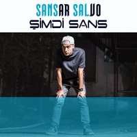 Yanlışlarımın Ortasında - Ege Çubukçu, Sansar Salvo