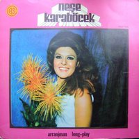 Unuttun Beni Zalim - Neşe Karaböcek
