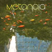 Evermore - Miso