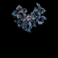 Further Below - A Lot Like Birds