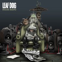 The Rain - Leaf Dog