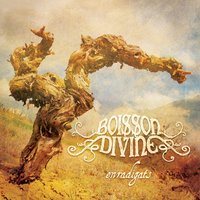 Vendanges - Boisson Divine