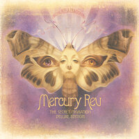 I Never Had It So Good - Mercury Rev