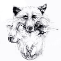Wintersleep - Lowell