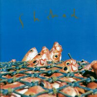 Pig Bop - Shihad
