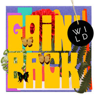 This Is Our Time - Wild