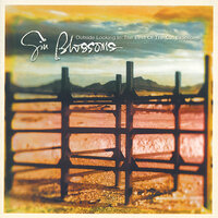 Allison Road - Gin Blossoms