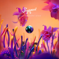 Somebody Like You - Sheppard
