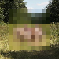 Two Deliverances - The Hotelier