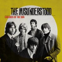 Why - The Misunderstood