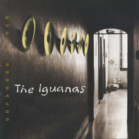 Ven A Bailar - The Iguanas