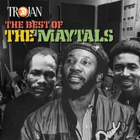 Got to Feel It - The Maytals