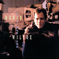 Missing You - David Wilcox