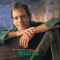 Covert War - David Wilcox