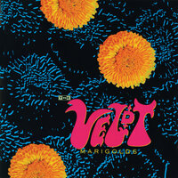 The Veldt